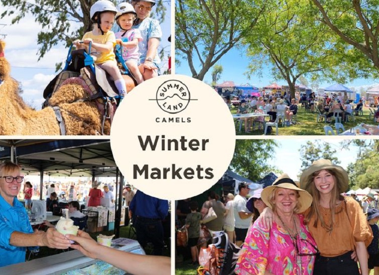 summer land camels winter market