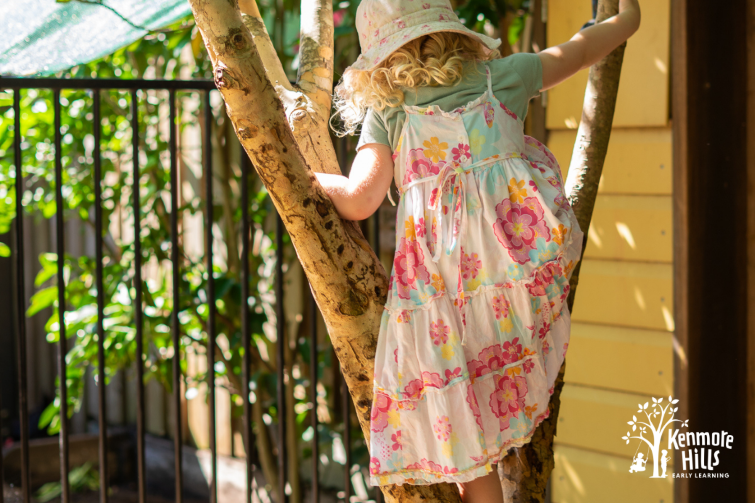 Kenmore Hills Early Learning child climbing tree.