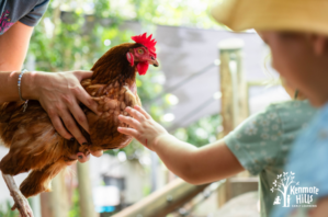 Kenmore Hills Early Learning child with chicken.