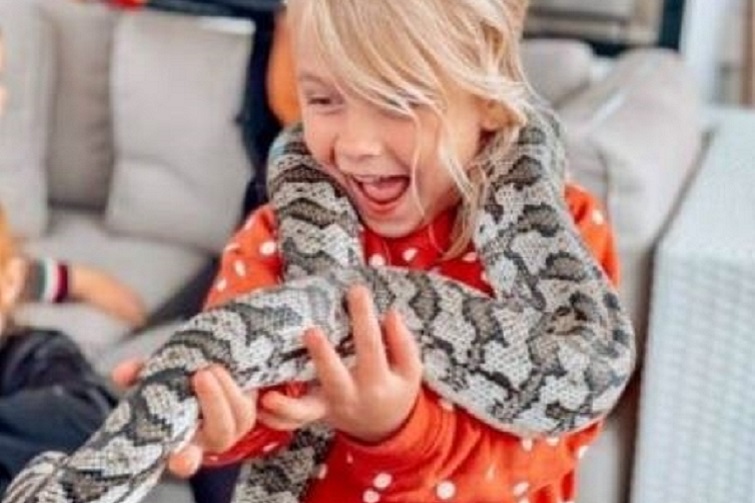 Wildlife Rangers Wildlife Encounters @ Broadwater Parklands
