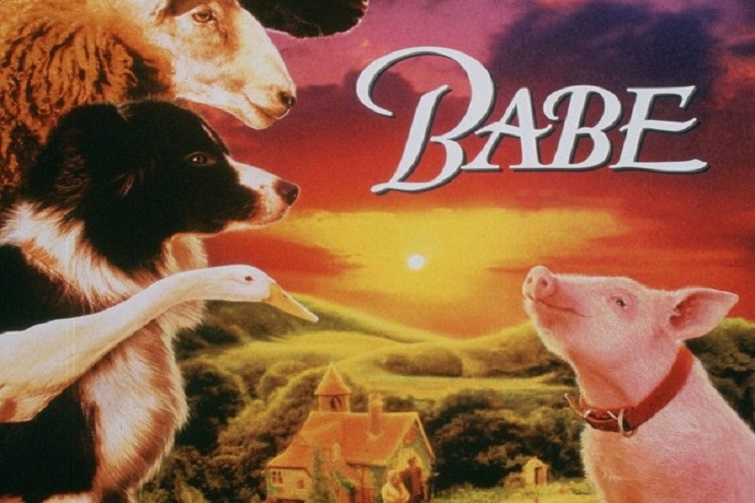 Outdoor Cinema in the Suburbs - Babe (1995)