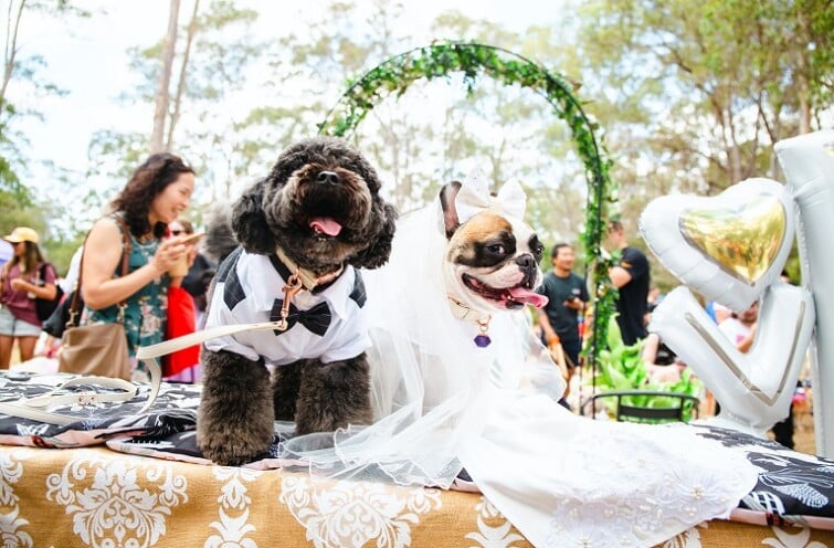 Barktoberfest 2026