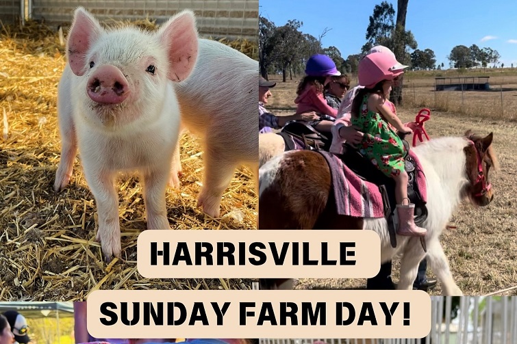 Harrisville Sunday Farm Day