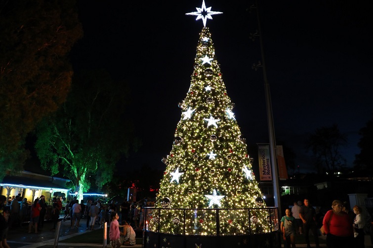 Ipswich christmas tree 2023