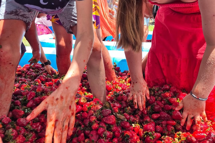 Strawberry Festival 2026