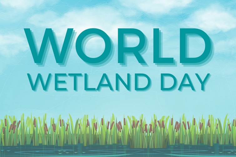 World Wetlands Day at Osprey House