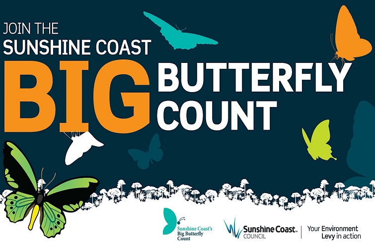 Big Butterfly Count @ George Watson Park, Moffat Beach