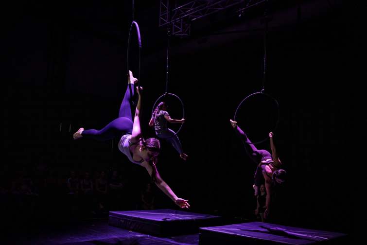 Circa Aerial Nights.