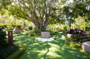 St Lucia Mini Golf putt putt under fig trees.