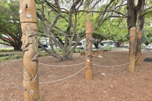 Rope run at Brennan Park.