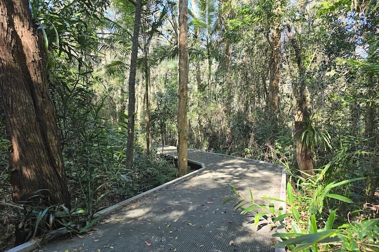 Boardwalk at Maroochy Wetlands Sanctuary.