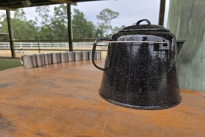 Billy and tea cups at Paradise Country.