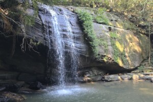 Waterfall at Buderim Falls.