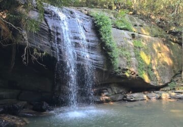 Waterfall at Buderim Falls.