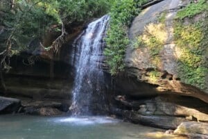 Waterfall at Buderim Falls.
