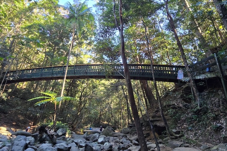 Arch bridge at Buderim Falls.