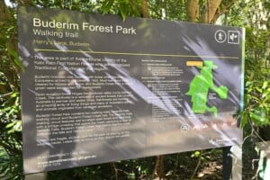 Buderim Forest Park sign at Buderim Falls.