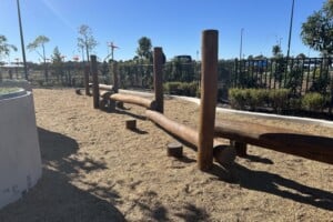 Greenheart Robina Parklands balancing logs.