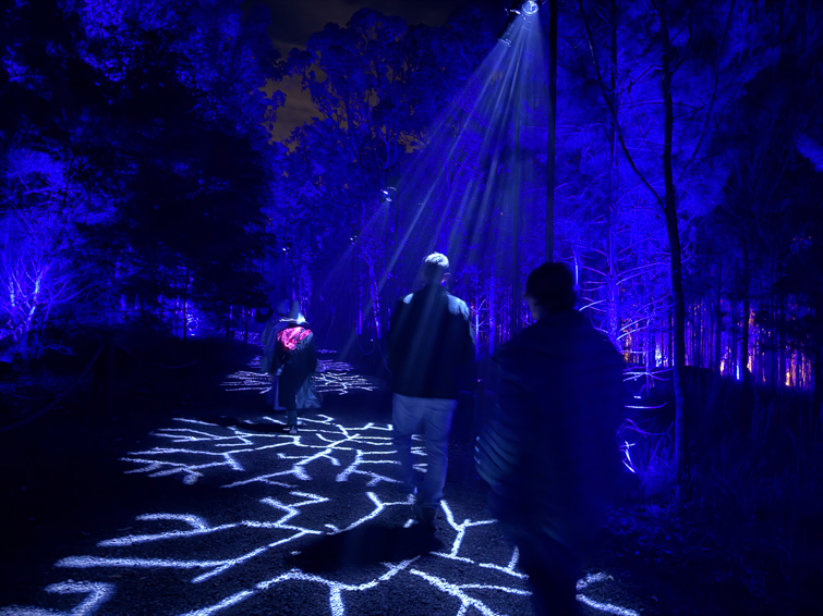 Harry Potter walk