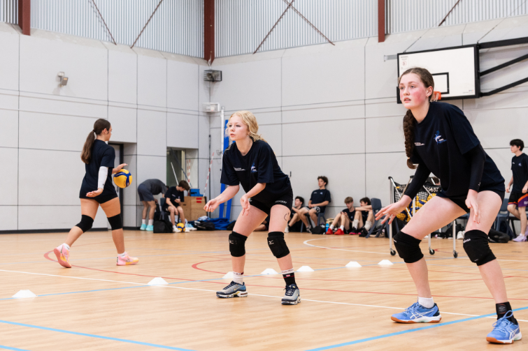Sharks Volleyball Coaching teen girls training.