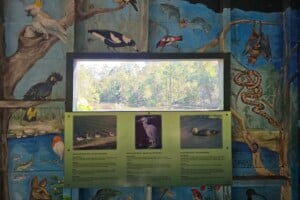Bird hide at Kumbartcho Sanctuary.