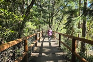 Girl on boardwalk at Kumbartcho Sanctuary.