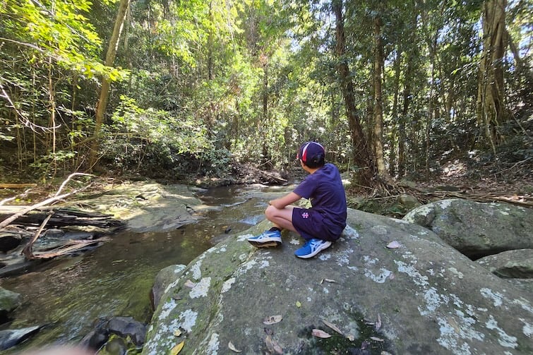 Boy sitting on boulder at Buderim Falls.