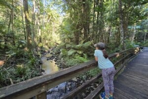 Girl looking at water from boardwalk at Buderim Falls.