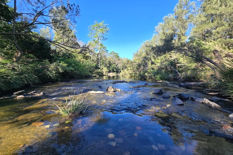 Creek near Kumbartcho Sanctuary.