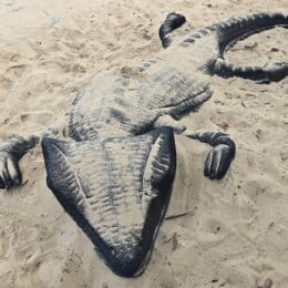 Soft fall crocodile at the playground beside Redcliffe Parkour Park.