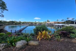 Dolphin bay at Sea World.