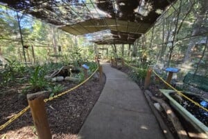 Frog hollow enclosure at Kumbartcho Sanctuary.
