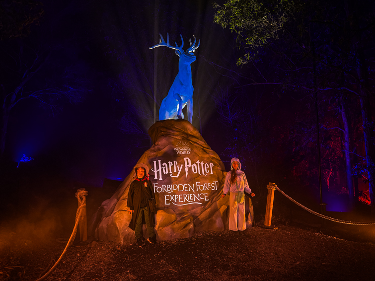 kids visiting the harry potter forbidden forest in brisbane