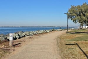 Pathway by the foreshore near Pelican Park.