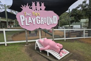 The Pig's Playground at Paradise Country.