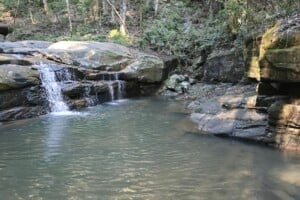 Pools and waterfall at Buderim Falls.