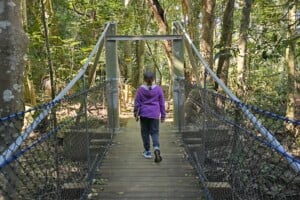 Girl walking on swing bridge at Kumbartcho Sanctuary.