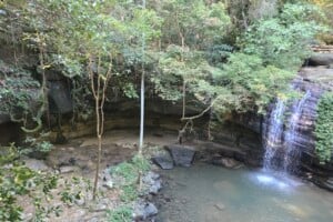 Waterfall and pool at Buderim Falls.