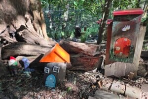 Fairy garden at Kumbartcho Sanctuary.