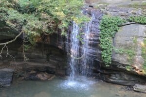 Waterfall at Buderim Falls.