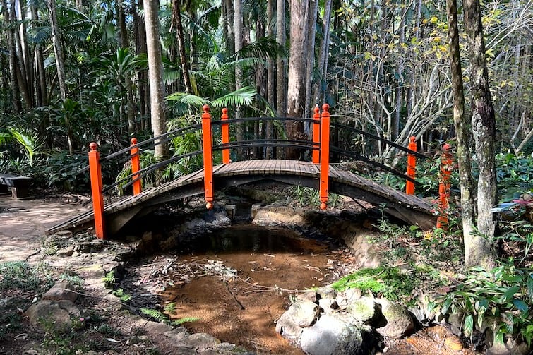 ridge in Japanese Gardens at Tamborine Mountain Botanic Gardens.