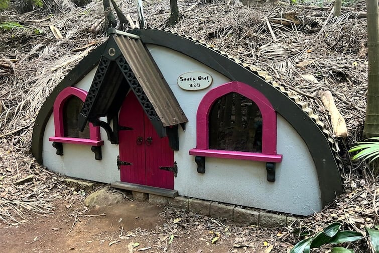 Tiny Sooty Owl B and B at Tamborine Mountain Botanic Gardens.