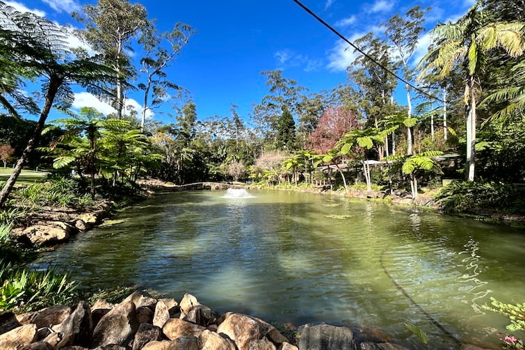 Main lake at Tamborine Mountain Botanic Gardens.