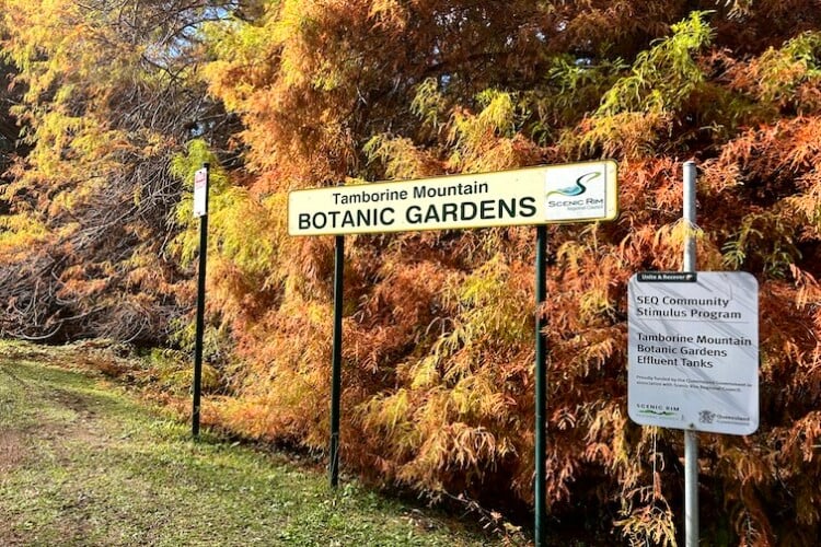 Tamborine Mountain Botanic Gardens