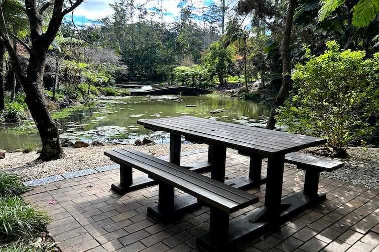 Picnic table bu the lake at Tamborine Mountain Botanic Gardens.