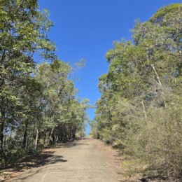 Pathway leading to Wild Horse Mountain Lookout.