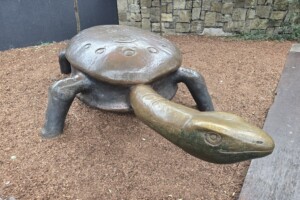 Turtle statue at Westfield North Lakes play area.
