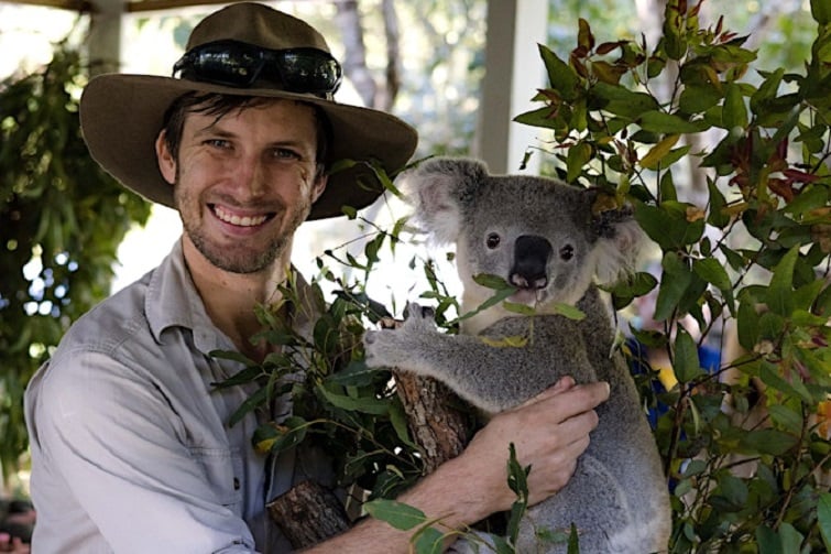 IndigiScapes Eco Markets and Family Koala Fair