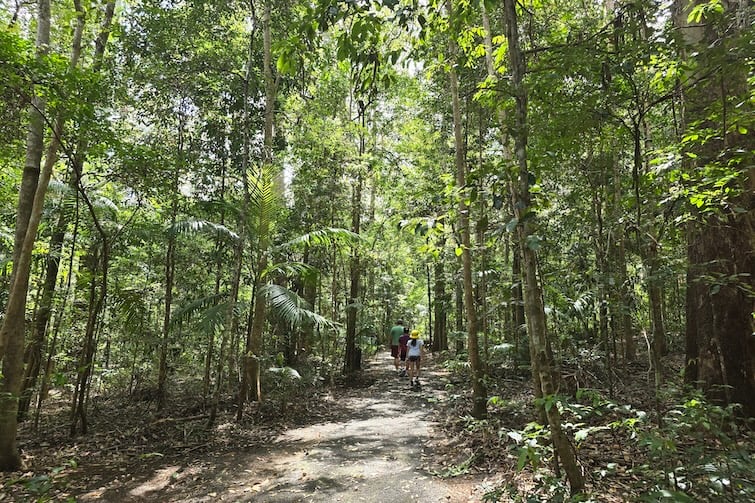 Piccabeen Walk at D'Aguilar National Park, Mt Mee.