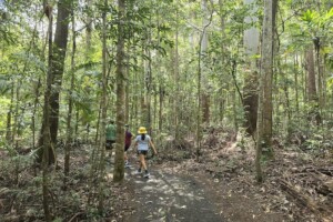 Family undertaking The Piccabeen Walk at D'Aguilar National Park, Mt Mee.